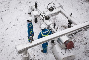 構(gòu)建專業(yè)品牌形象 Allnorth工程技術(shù)服務(wù)咨詢公司的全方位視覺與數(shù)字體驗(yàn)設(shè)計(jì)